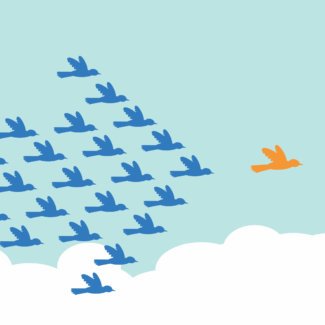 flock of birds with leader symbolizing accredited online mba